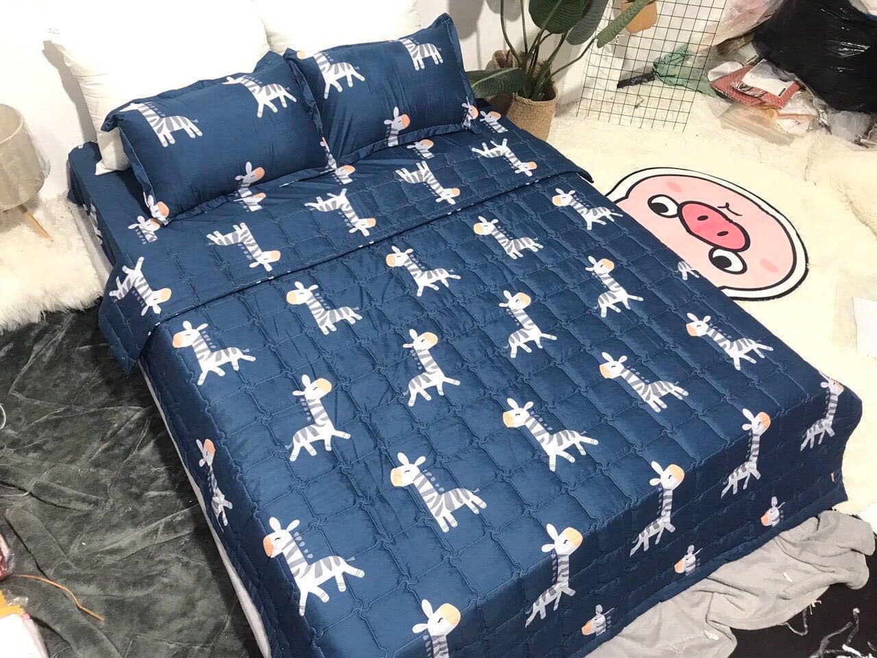 BỘ CHĂN GA GỐI COTTON POLY