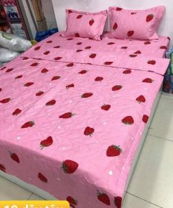 BỘ CHĂN GA GỐI COTTON POLY DÂU TÂY