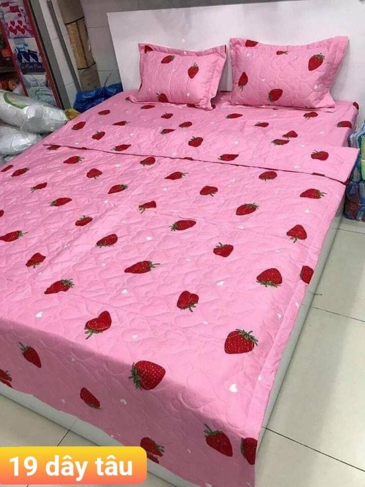 BỘ CHĂN GA GỐI COTTON POLY DÂU TÂY