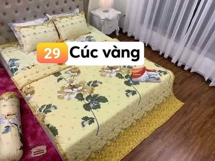 BỘ CHĂN GA GỐI COTTON POLY CÚC VÀNG